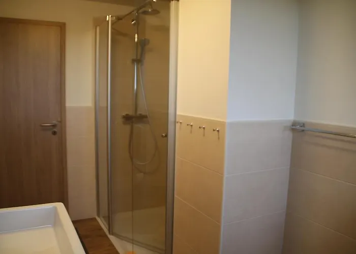 Lebers Schinken-alm Guest house Winterberg